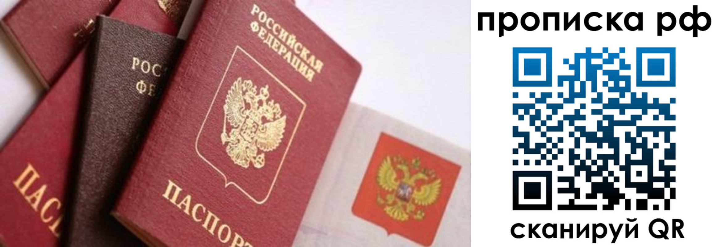 найти адрес прописки в Ясном